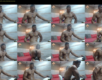 teddyfit19cm