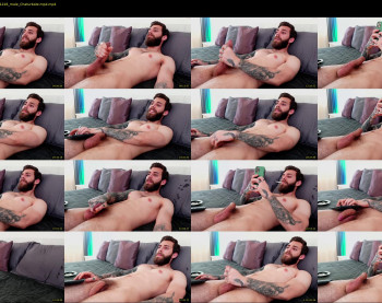 alphamatteo