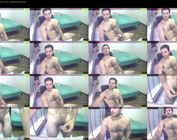 osito_blanco