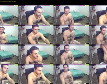 osito_blanco