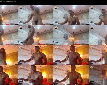 teddyfit19cm