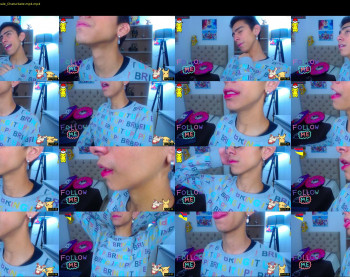 ash_v