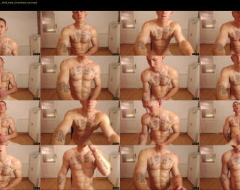 the_phoenixxx