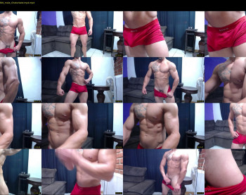 bestmuscle