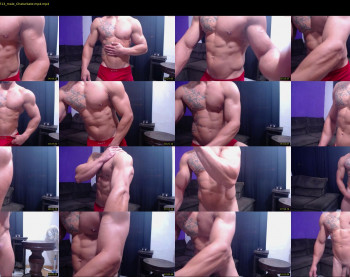 bestmuscle