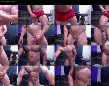 bestmuscle