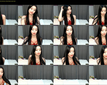 evasisi_01