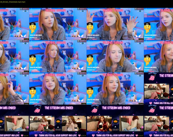 ginger_pie