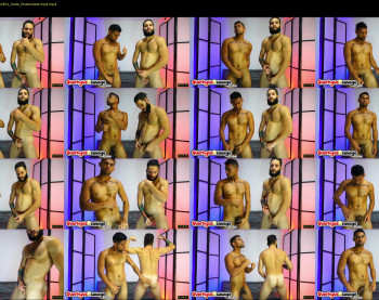savage_studs