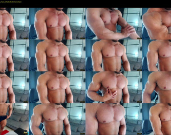 flex_x_x