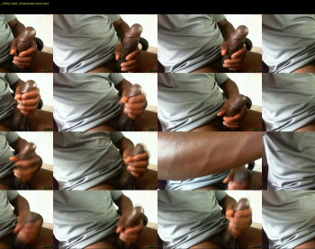 smallblackdee