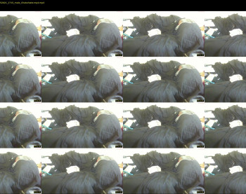 tonylovestoeatpussy