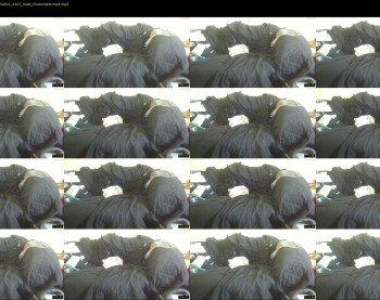 tonylovestoeatpussy