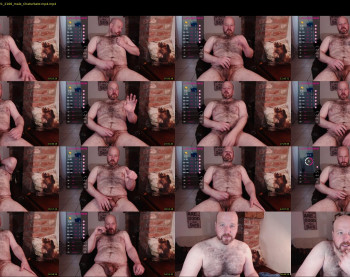 bear_necessity_