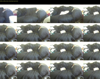 tonylovestoeatpussy