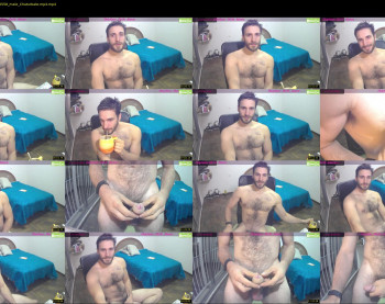 osito_blanco