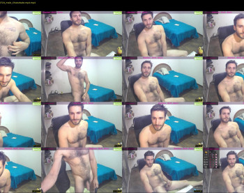 osito_blanco