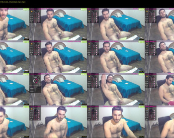 osito_blanco