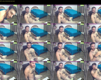 osito_blanco