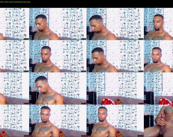 11inchesblackcock