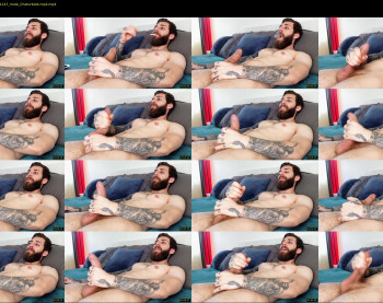 alphamatteo
