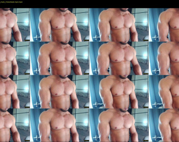 flex_x_x