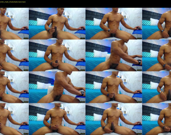teddyfit19cm