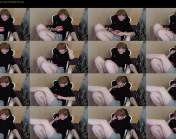 alvin_main