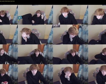 alvin_main