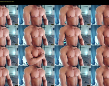 flex_x_x