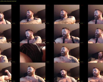 seth_2019