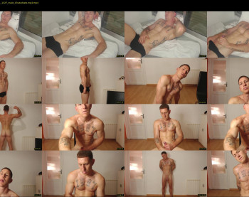 the_phoenixxx