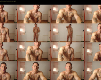 the_phoenixxx