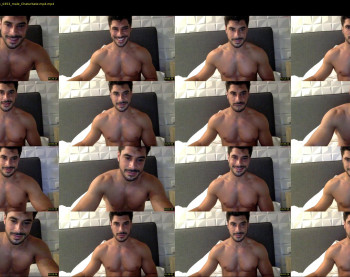 vivisasagregre