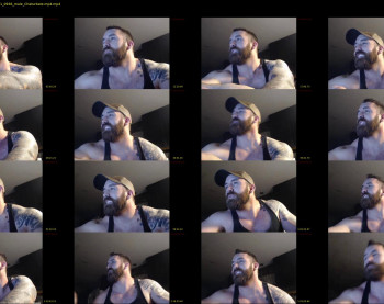 seth_2019