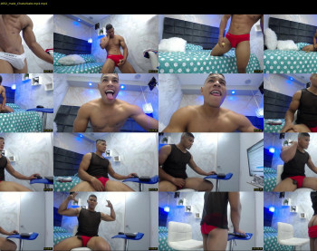 teddyfit19cm