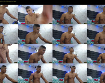 teddyfit19cm