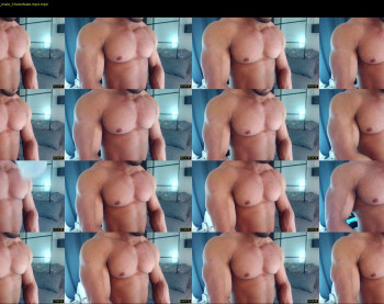 flex_x_x