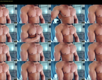 flex_x_x