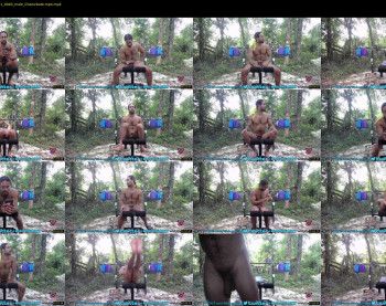 hothorsedick4u