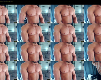 flex_x_x