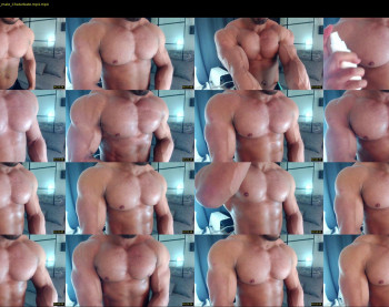 flex_x_x