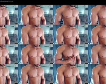 flex_x_x