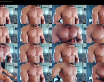 flex_x_x