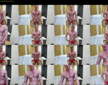 hitwerry