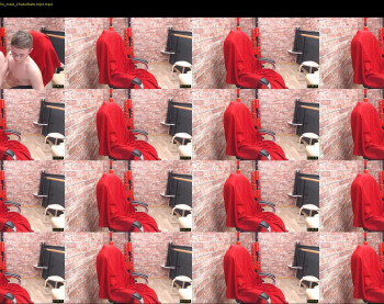vince_dice