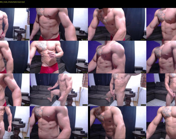 bestmuscle