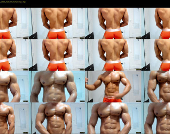 mr_fitness_xxx