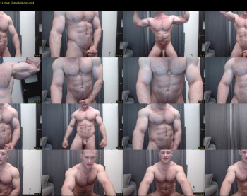 andry_dick