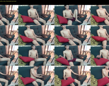 angel_hamer